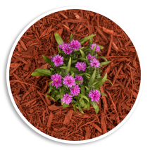 red color organic mulch