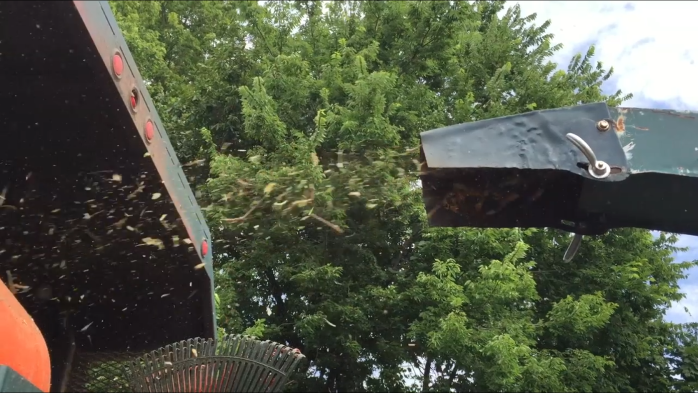 Hansen's Tree Service