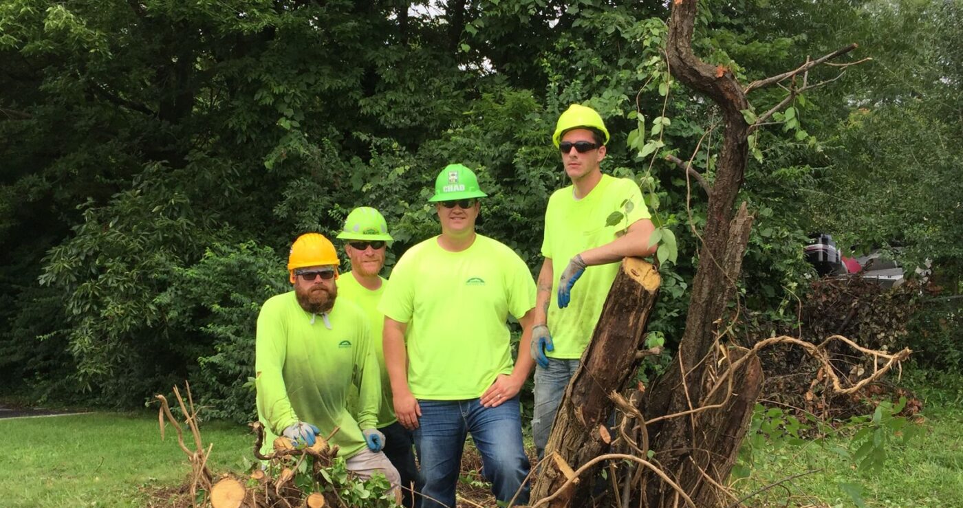Hansen's Tree Service