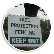 tree-protection-fencing-keep-out