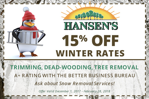 Hansen's Tree Service