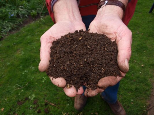 Compost - Soil