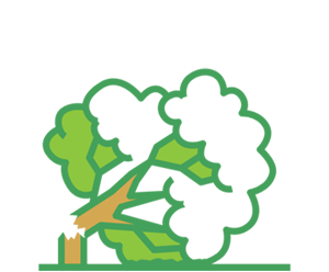 Hansen's Tree Service & Environmental Resources - Hansen's Tree Service