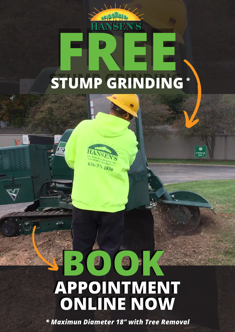 Hansen's Tree Service | Stump Grinding Service | St Charles | St Louis | St Peters | O'Fallon