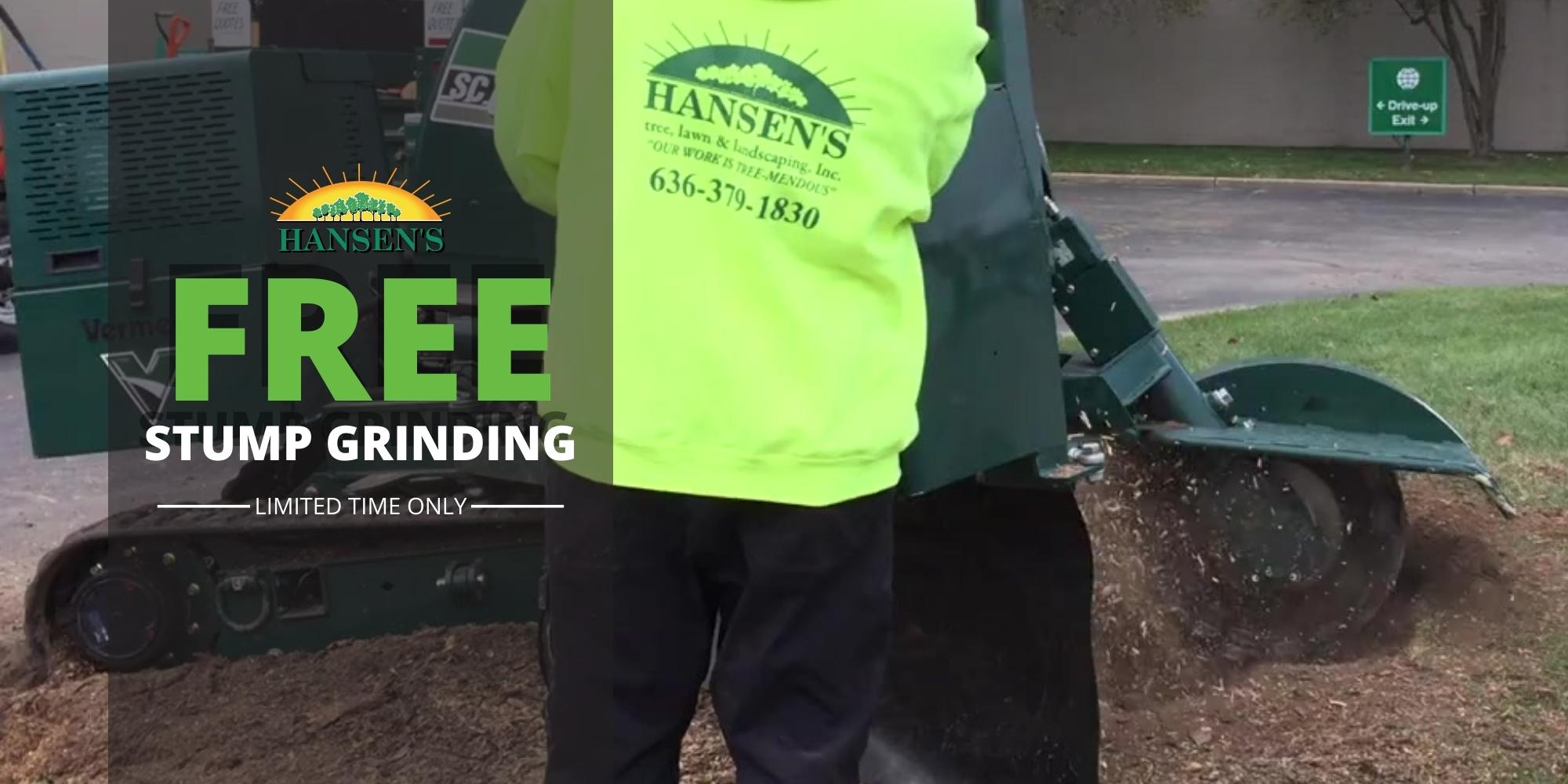 Hansens Tree Service | Stump Grinding | Tree Removal