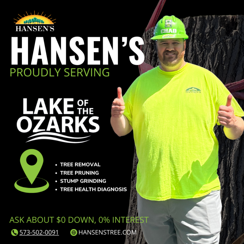 Hansen's Tree Service in the Lake of the Ozarks and Jefferson County mO