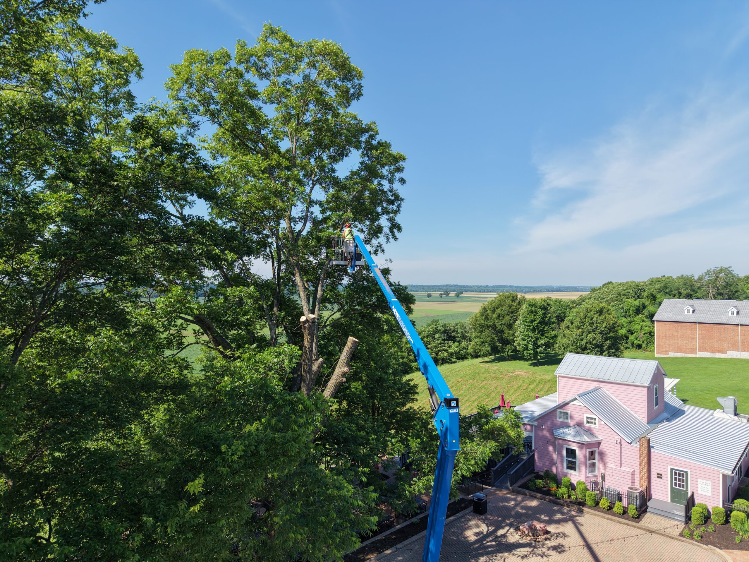 The nearly 100-year-old pecan tree was a defining feature of the patio at Mt. Pleasant Winery in Augusta, Missouri.